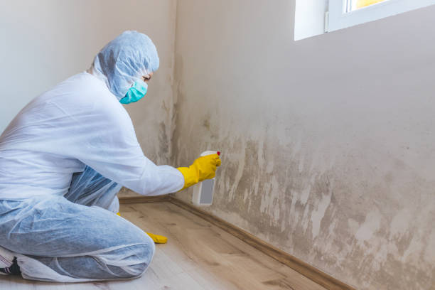 Licensed Mold Testing service in Liverpool, PA - WQB Mold Removal