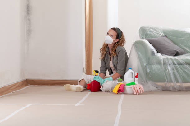 Reliable Mold Testing contractor in Liverpool, PA by WQB Mold Removal