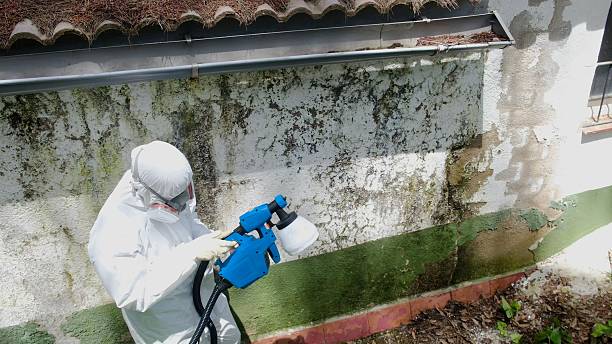 Top rated local Mold Testing specialists in Liverpool, PA
